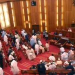 Disability Commission: Group urges Senate to hasten screening of nominees